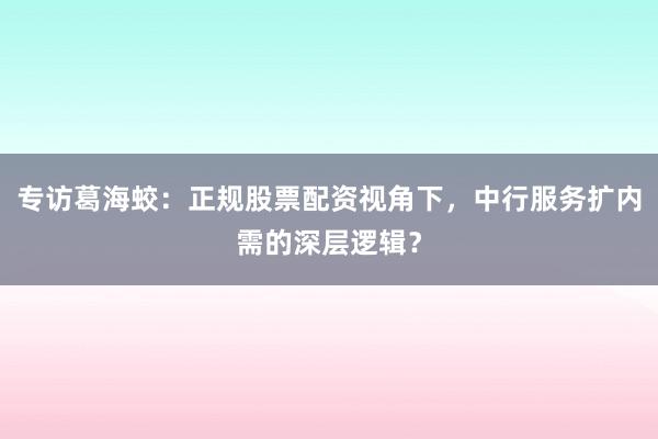 专访葛海蛟：正规股票配资视角下，中行服务扩内需的深层逻辑？