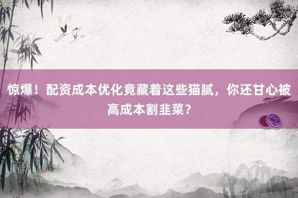 惊爆！配资成本优化竟藏着这些猫腻，你还甘心被高成本割韭菜？