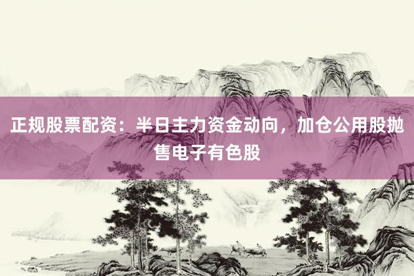 正规股票配资：半日主力资金动向，加仓公用股抛售电子有色股