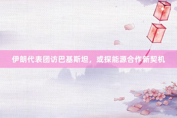 伊朗代表团访巴基斯坦，或探能源合作新契机