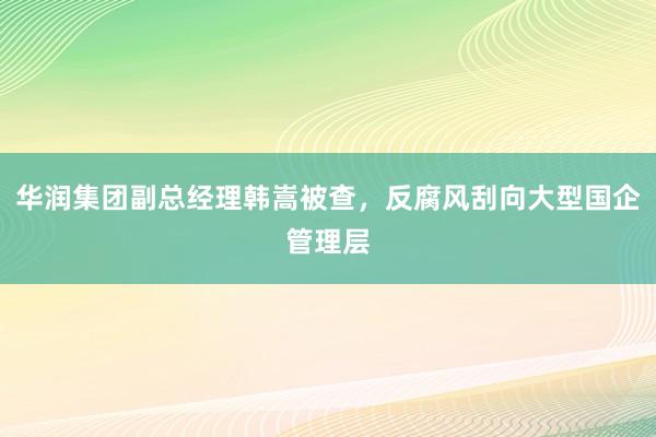 华润集团副总经理韩嵩被查，反腐风刮向大型国企管理层