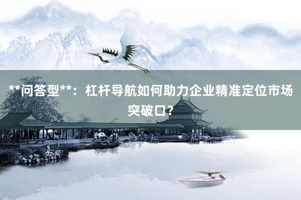 **问答型**：杠杆导航如何助力企业精准定位市场突破口？