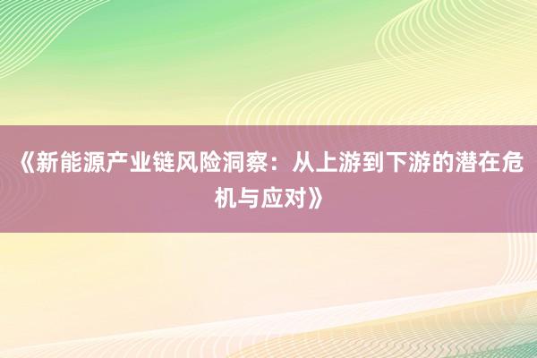 《新能源产业链风险洞察：从上游到下游的潜在危机与应对》