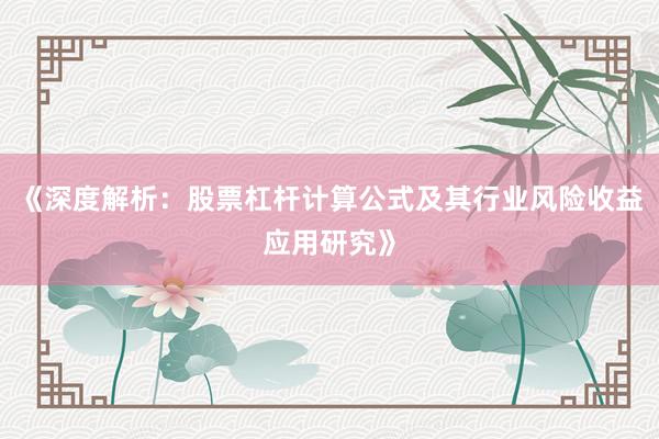 《深度解析：股票杠杆计算公式及其行业风险收益应用研究》
