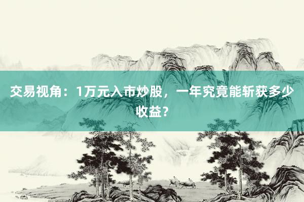 交易视角：1万元入市炒股，一年究竟能斩获多少收益？