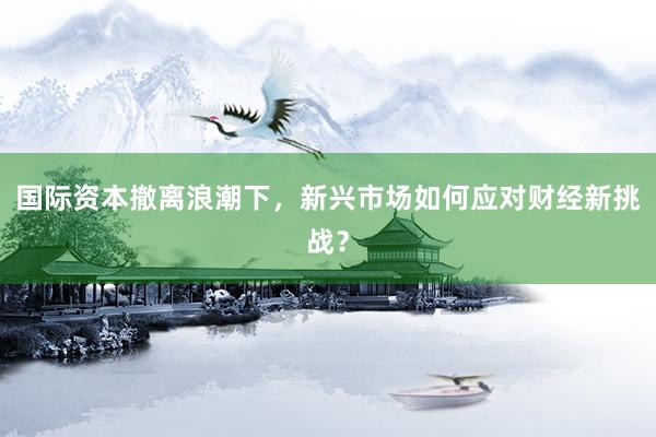 国际资本撤离浪潮下，新兴市场如何应对财经新挑战？