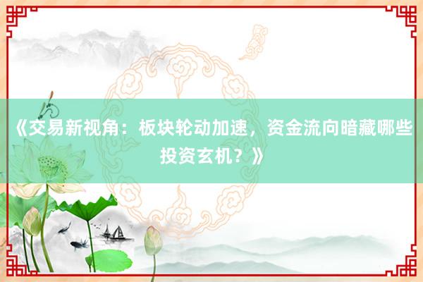 《交易新视角：板块轮动加速，资金流向暗藏哪些投资玄机？》