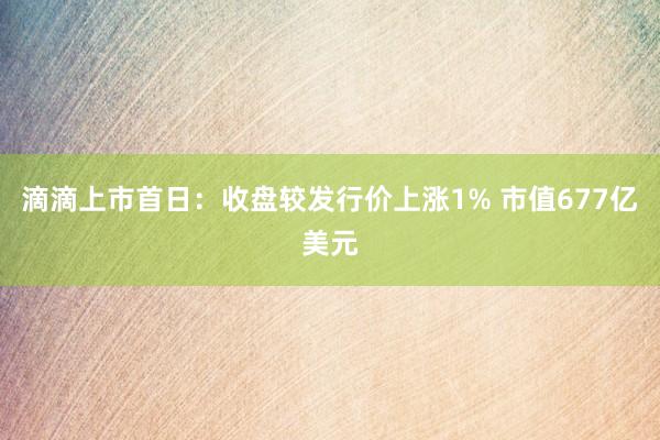 滴滴上市首日：收盘较发行价上涨1% 市值677亿美元