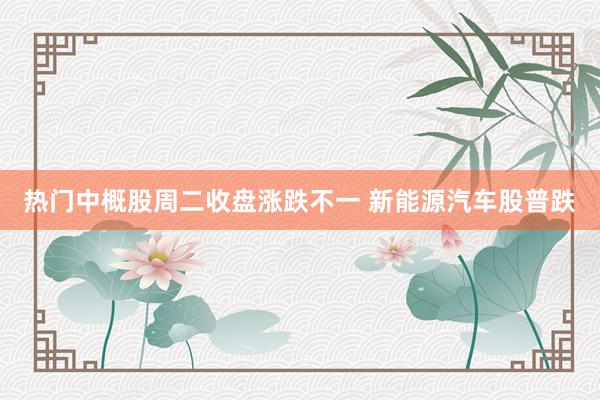 热门中概股周二收盘涨跌不一 新能源汽车股普跌