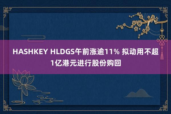 HASHKEY HLDGS午前涨逾11% 拟动用不超1亿港元进行股份购回