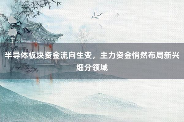 半导体板块资金流向生变，主力资金悄然布局新兴细分领域
