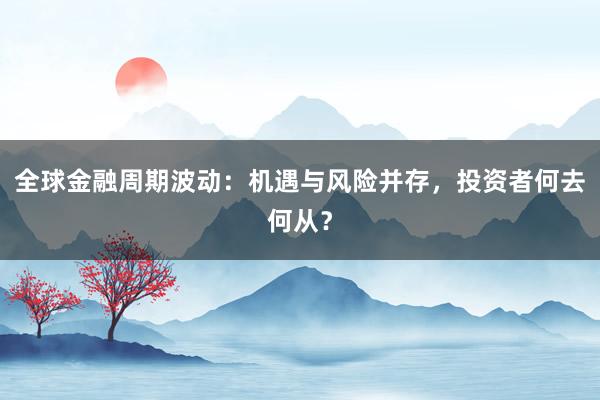 全球金融周期波动：机遇与风险并存，投资者何去何从？