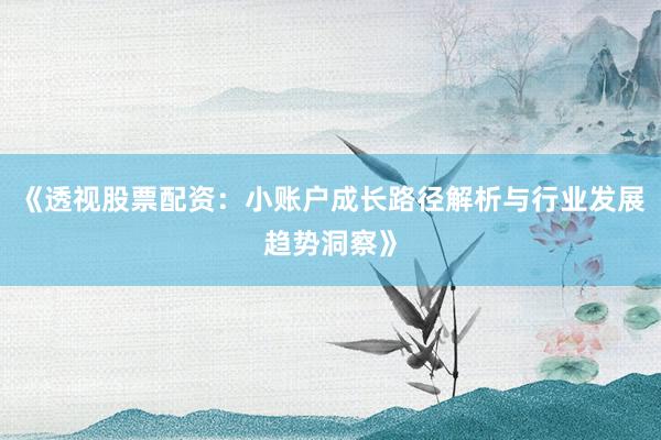 《透视股票配资：小账户成长路径解析与行业发展趋势洞察》