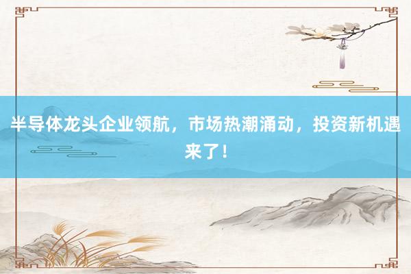 半导体龙头企业领航，市场热潮涌动，投资新机遇来了！