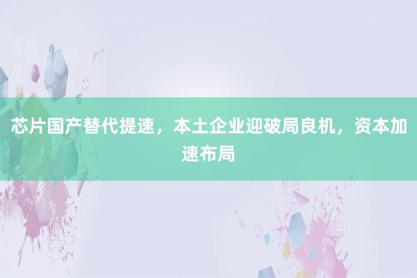 芯片国产替代提速，本土企业迎破局良机，资本加速布局
