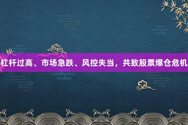 杠杆过高、市场急跌、风控失当，共致股票爆仓危机