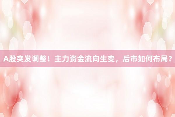 A股突发调整！主力资金流向生变，后市如何布局？