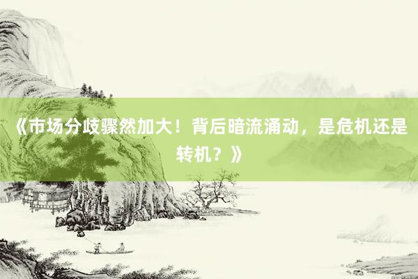 《市场分歧骤然加大！背后暗流涌动，是危机还是转机？》