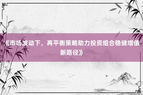 《市场波动下,再平衡策略助力投资组合稳健增值新路径》