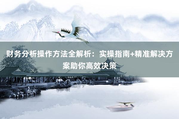 财务分析操作方法全解析：实操指南+精准解决方案助你高效决策