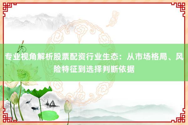 专业视角解析股票配资行业生态：从市场格局、风险特征到选择判断依据